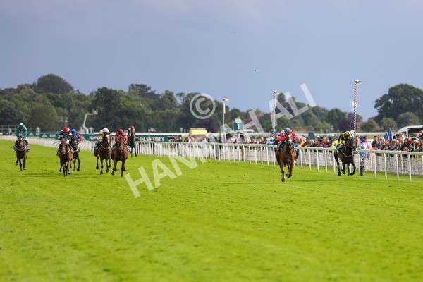 150723-Race 6-Robert Johnson-8868 - Race 6 4.55pm John Smith's Stayers' Handicap