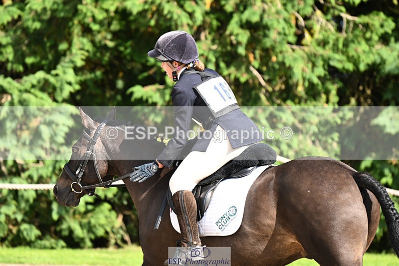 240824X-160036-29846 - 80cm Round 2 15.30 to 16.50