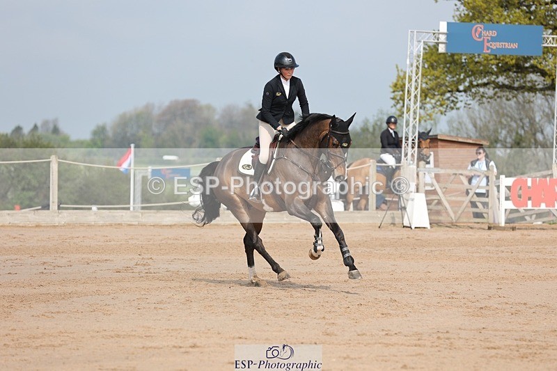 250424-102636-03017 - Cls 33 Young Horse 7yr old