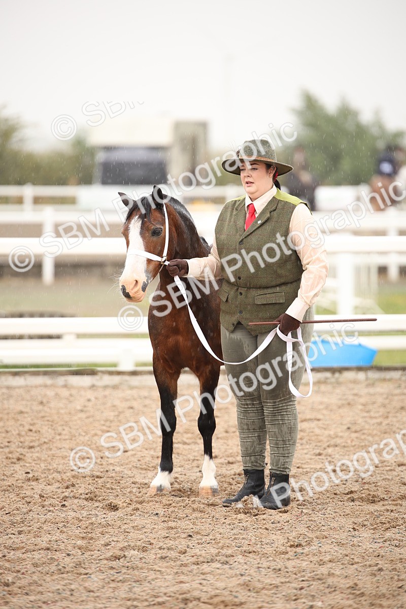 SBM_20252 - Class 704 - IH Rescue