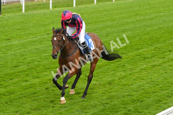 yr11062022r1-149 - Race 1 12.45pm Macmillan Ride of Their Lives, supported by Sky Bet