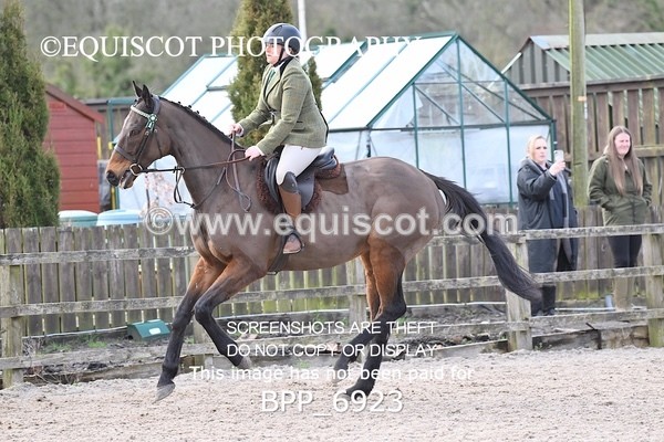 BPP_6923 - RING 1  (RIDDEN HORSES / IN HAND / VETERAN ETC)