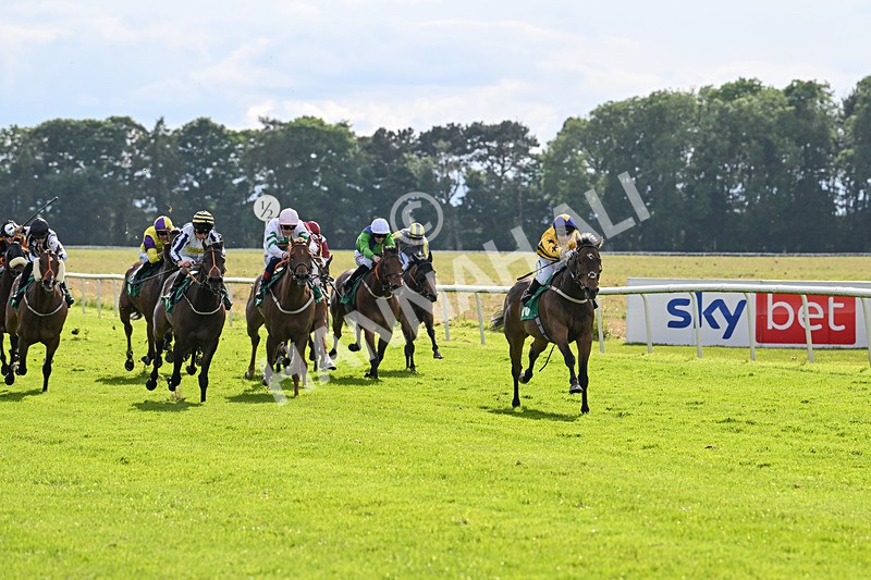 160624-Race 5-American Affair-8944 - Race 5