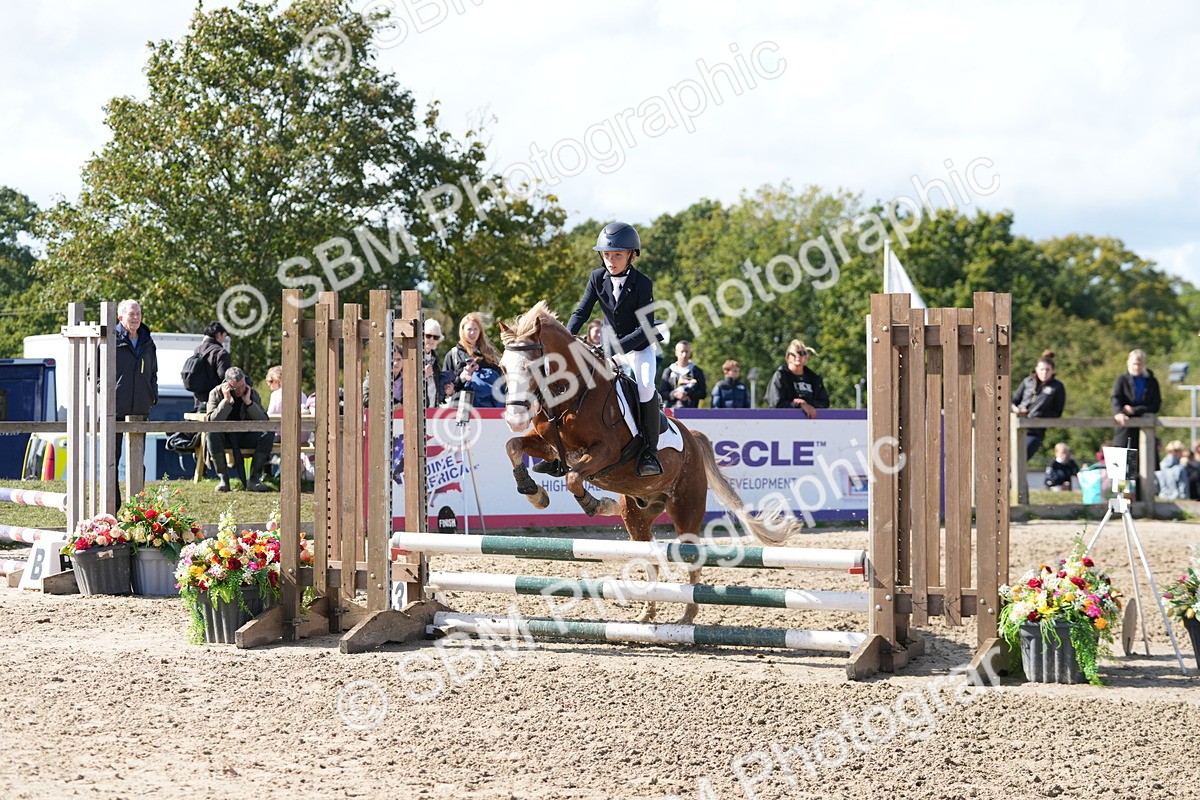 SBM_46516 - J7 - Junior Pony 60cm Championship