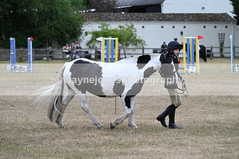 WJ7_8270 - Class 4 Prettiest Mare up to 14.2hh