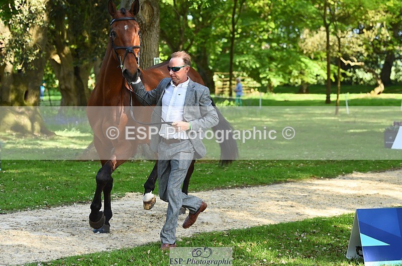 230524-164834-01103 - 116-MONBEG_DARWIN-Michael_Owen-WEDTrotUp+DR