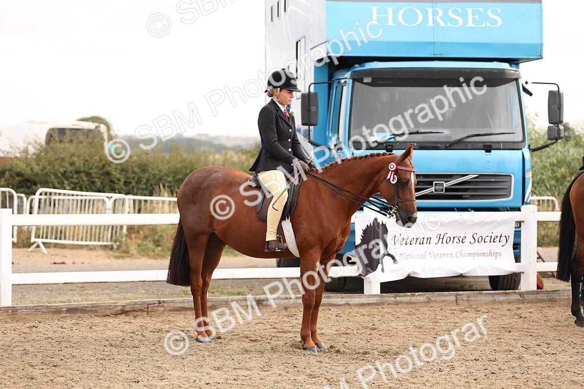 SBM_01557 - Class 52 - Ridden Veteran