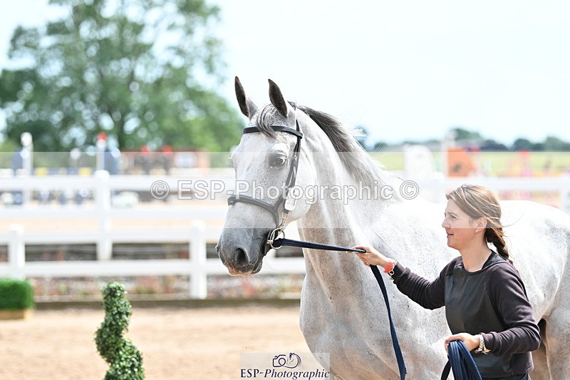 240717A-144351-02246 - Trot Up 2pm to 3pm - This folder is not in time order