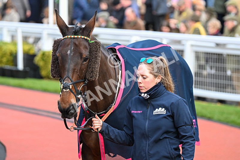 171124-Race 4-Paddock-Manothepeople-3306 - Race 4