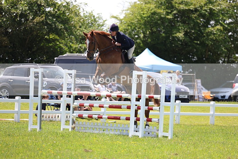 3E7A1270 - Class 12: Senior Foxhunter/1.20 open
