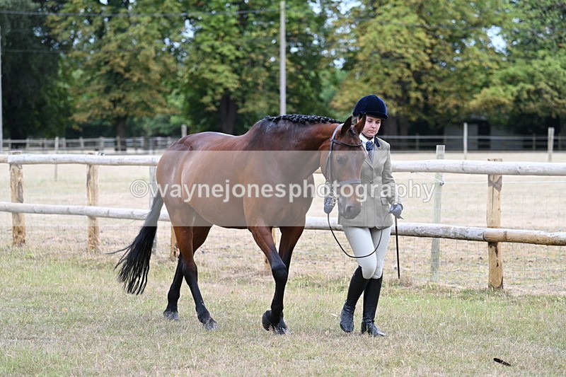 WJ7_8966 - Class 4a Prettiest Mare 14.2hh and over