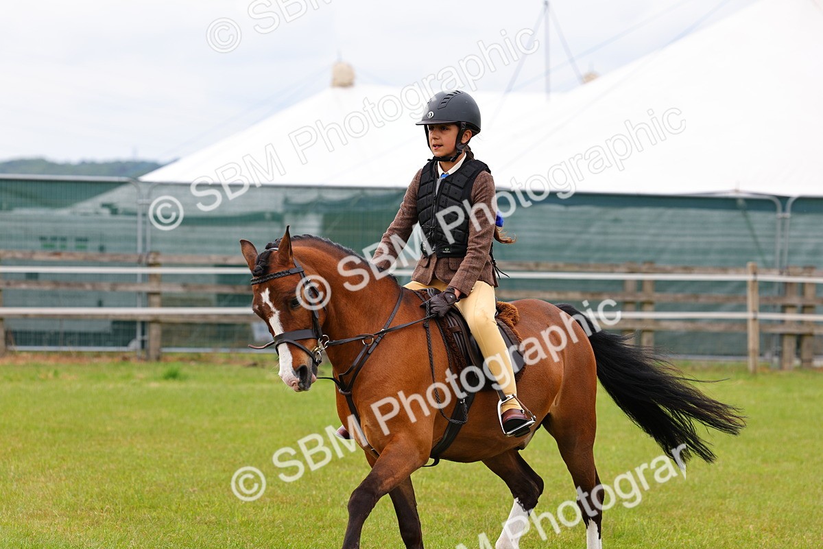SBM_09555 - Class 44-45 - LIHS BSPS Open Nursery and Cradle Stakes