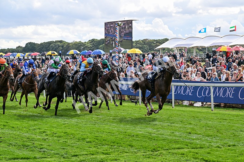 210826-Race 4-Bacio-6206 - Race 4 15.35pm Coolmore City Of Troy Nunthorpe Stakes