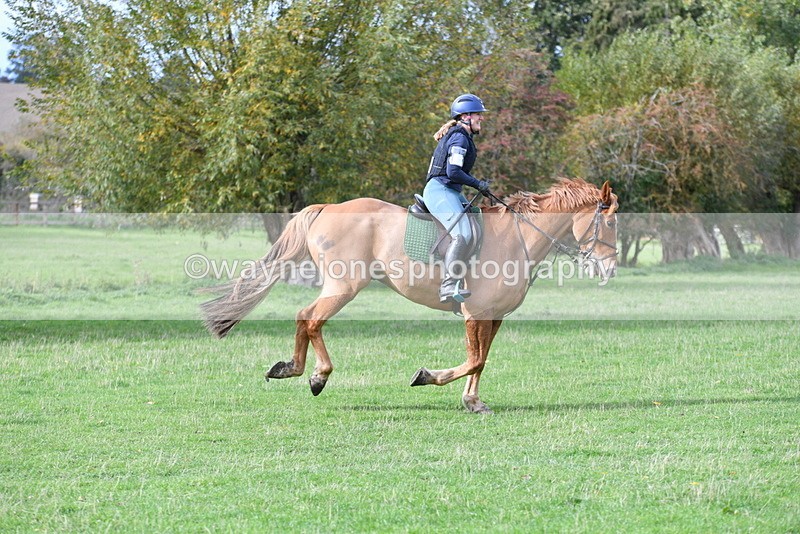 WJ5_0467 - Time 13:59 to 14:28