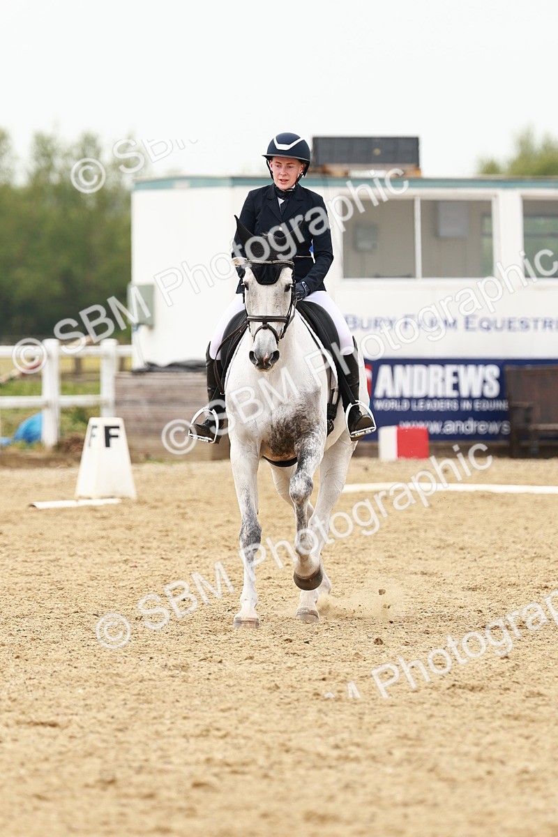 SBM_002599 - Class 12 - Medium 4