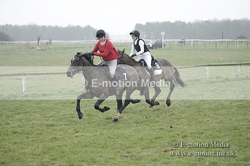 PtP 150320 0024 - New Forest Point-to-Point Larkhill 15/03/20