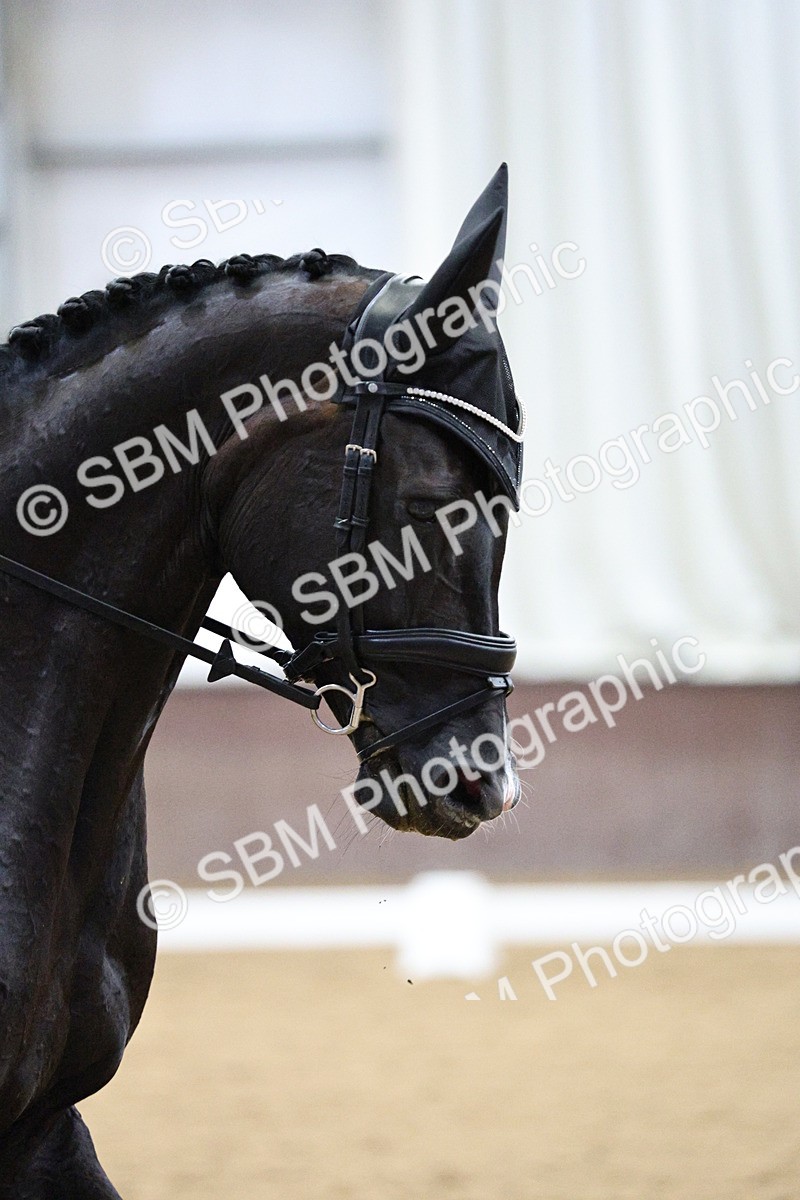 SBM_001209 - Class 5 - Novice 6