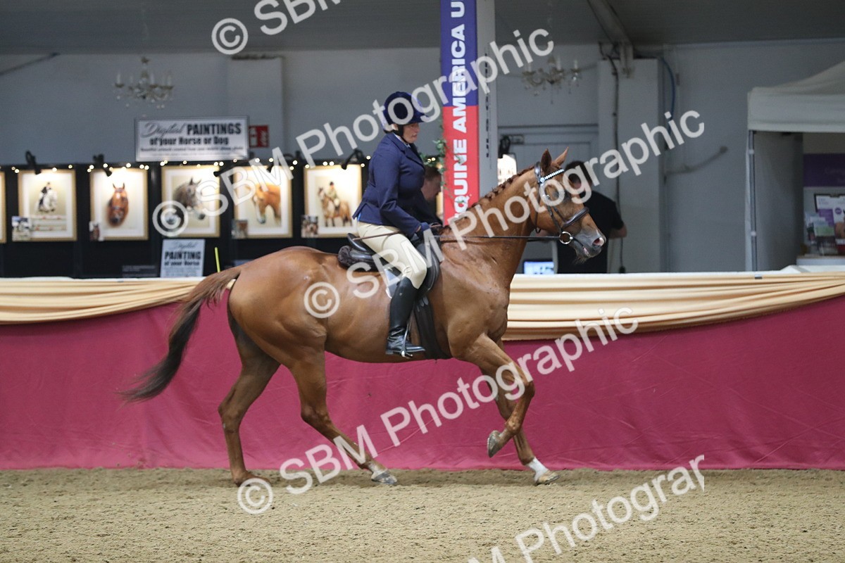 SBM_12359 - Class 108 Ridden Retired Racehorse- Pre Judging