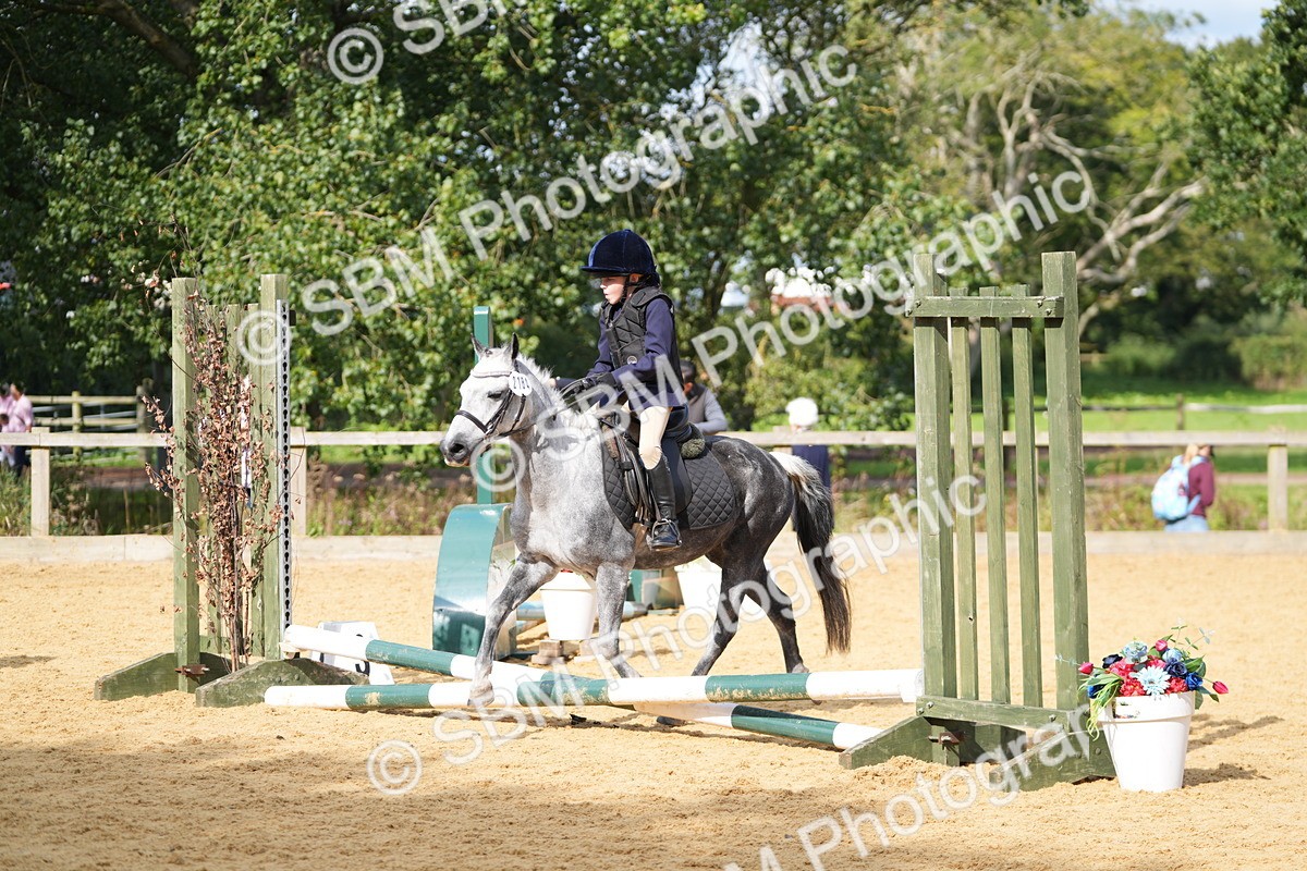 SBM_64377 - J2 - Mini Tour Junior Pony 30cm Championship