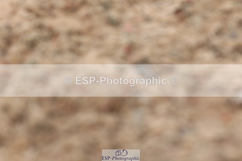 250622-134736-16745 - Cls 50 Elementary 5, 13.10 to End