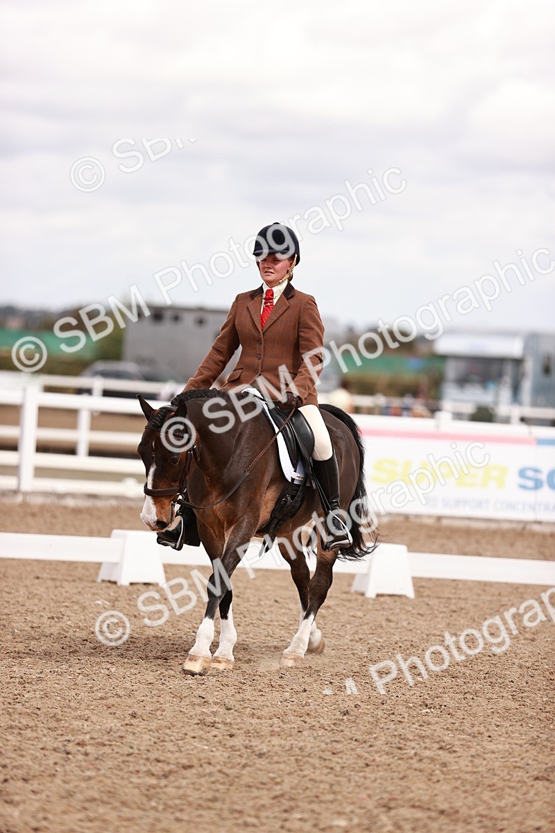 SBM_06251 - Class 37 - Novice 5