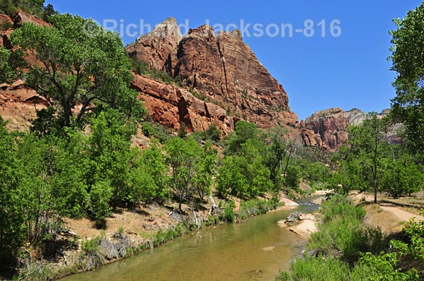 Image - #2 - Zion National Pk. -  2012