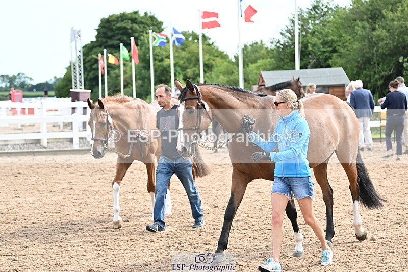 240717A-165546-03546 - Trot Up 4pm to 5pm