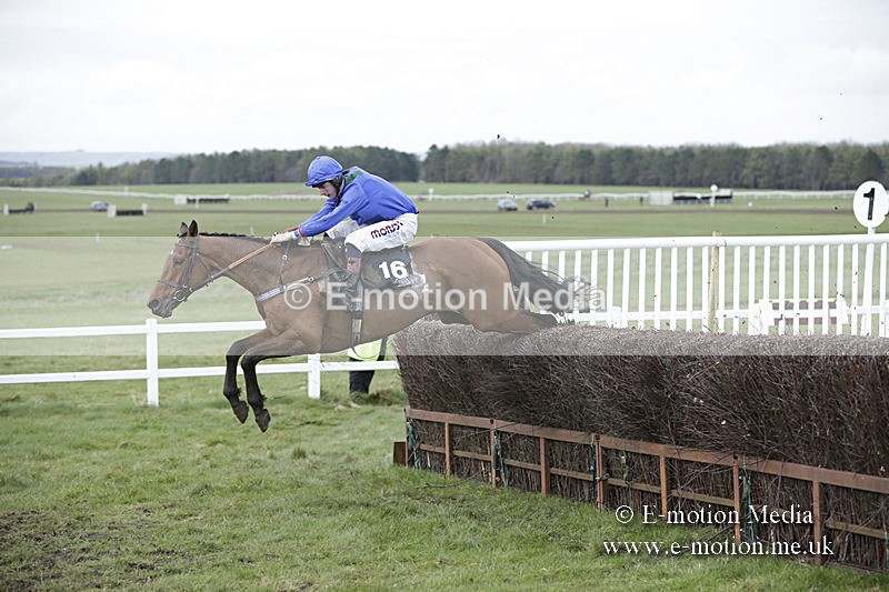 PtP 150320 0701 - New Forest Point-to-Point Larkhill 15/03/20
