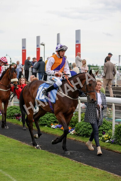 yr22052022r3-34 - Race 3: 4:35pm Sky Bet Sunday Series Dash
