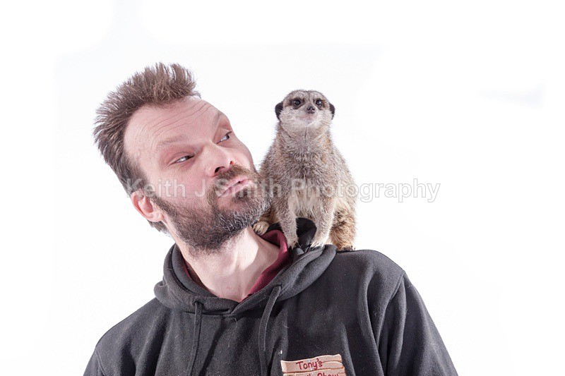 7SKJ4357 - Roaming Reptile Show III