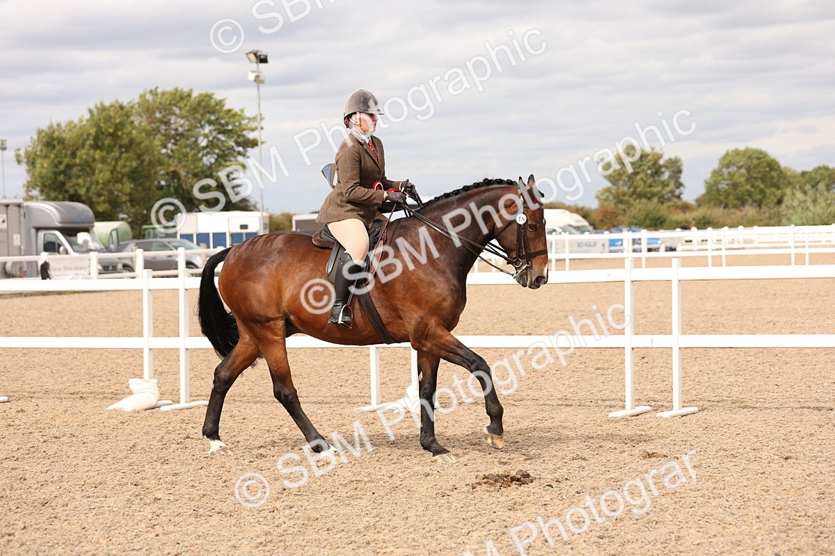 SBM_17284 - Class 213 - Ridden Hunter - Large