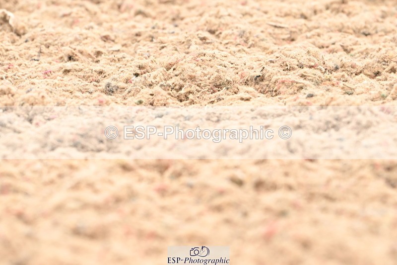 240623A-111527-17435 - Cls 48 BD Novice 37A