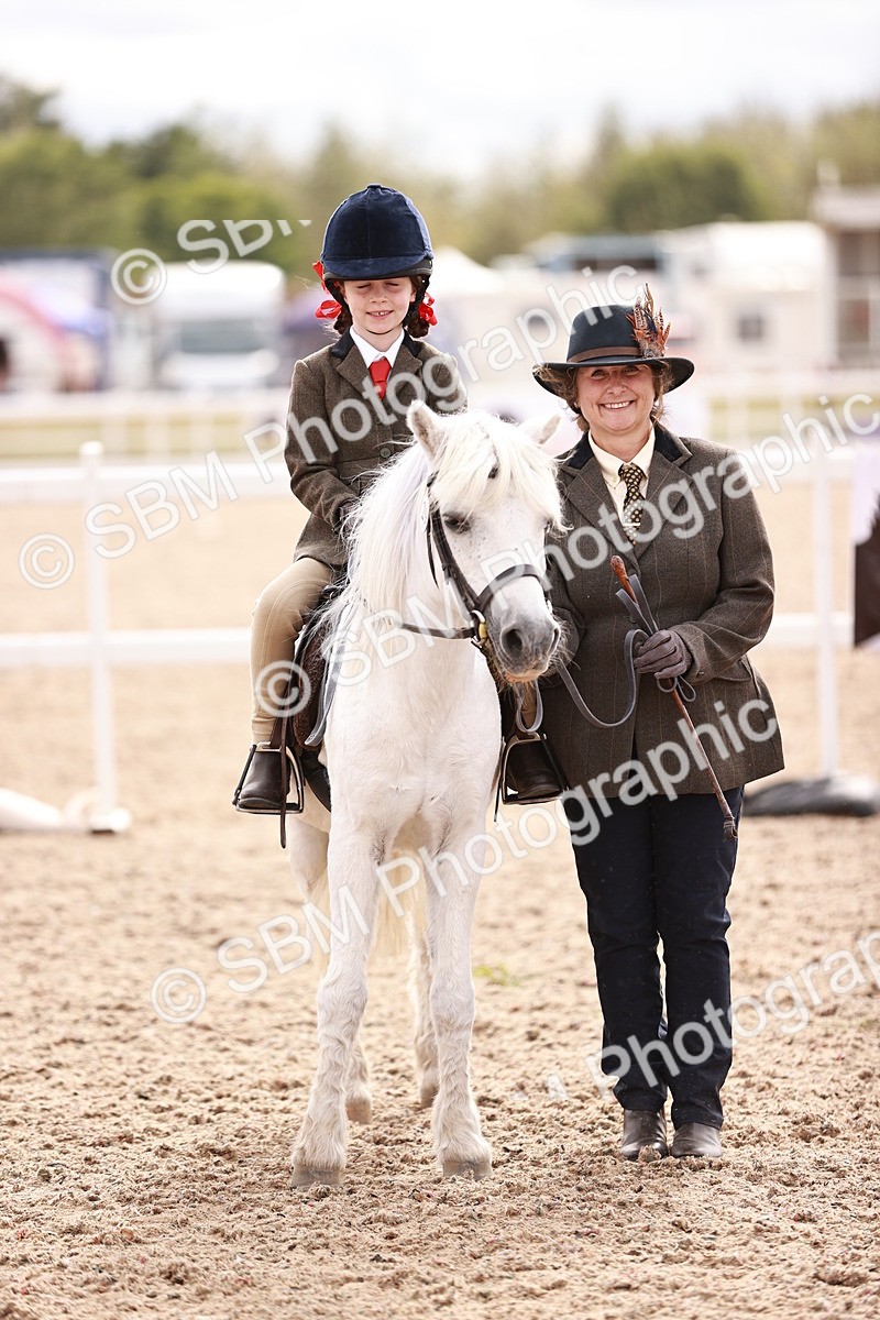 SBM_18301 - Class 417 - Handsome Gelding (IH or Ridden - JNR)