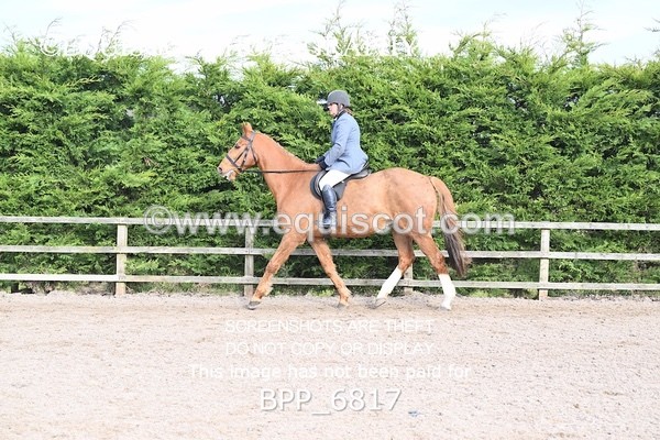 BPP_6817 - RING 1  (RIDDEN HORSES / IN HAND / VETERAN ETC)