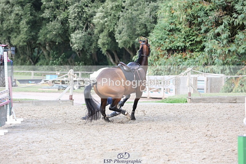 250831A-173013-11538 - Cls 46 85cm Amateur Quali