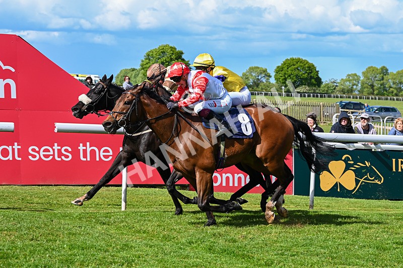 120526-Race 4-Dandy Dinmont-8283 - Race 4 4.00pm Annie Oxtoby Memorial Handicap