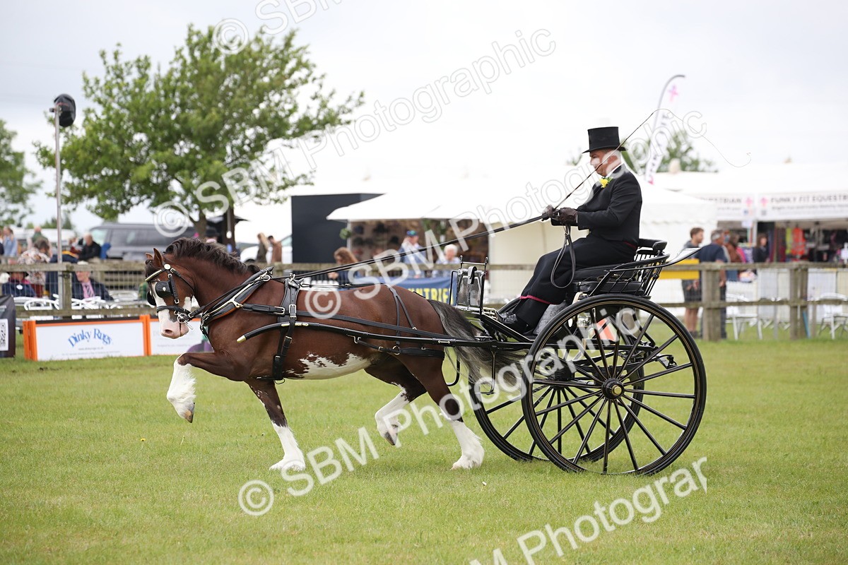 SBM_05848 - Class 12-15 - HOYS Private Driving