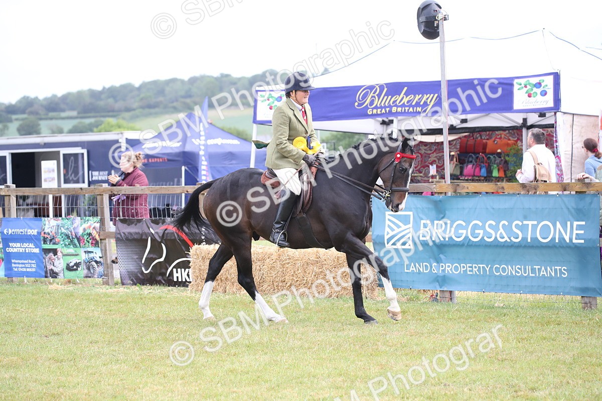 SBM_11483 - Class 94 - LIHS BSHA Racehorse to Showhorse