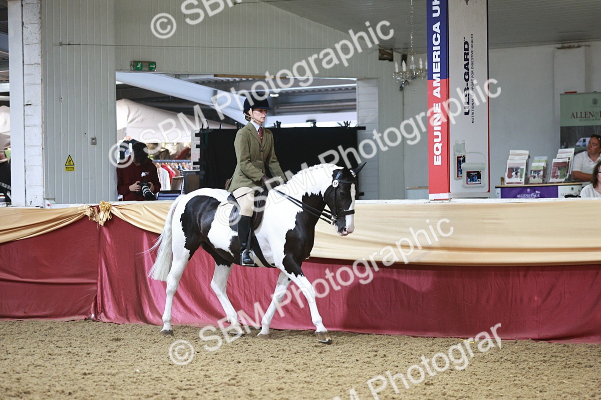 SBM_08801 - Class 12R - Regional Ridden Pre-Vet