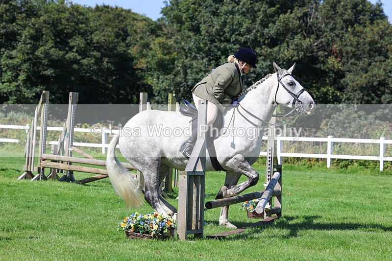 3E7A8254 - Class 4: Novice working Hunter