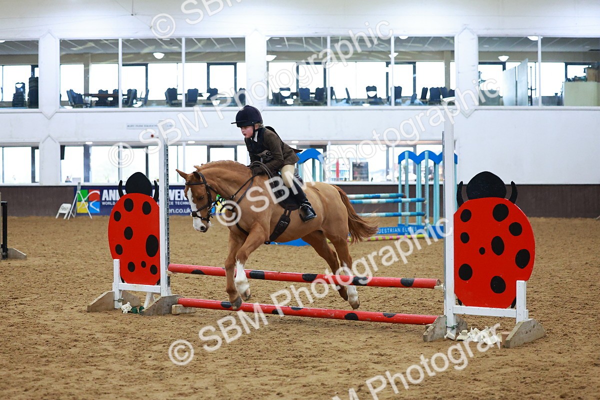 SBM_000415 - Class 19 - 50cm