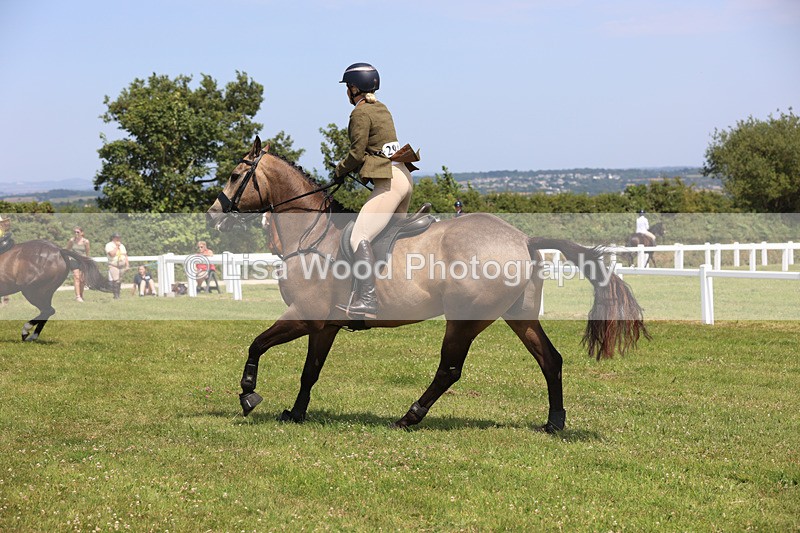 JPP_3306 - Class 22: Working Hunter 70cm