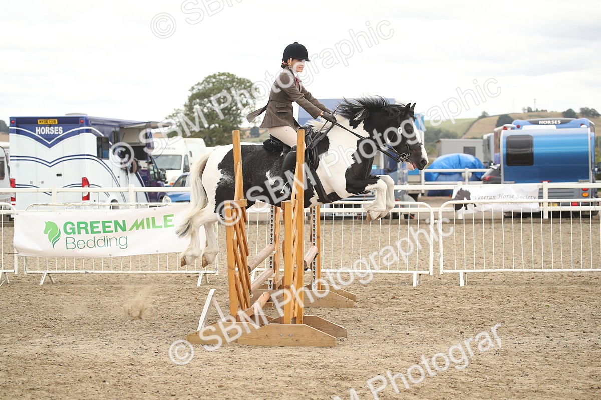 SBM_17631 - Class 508a - Working Veteran 70cm (15-19)