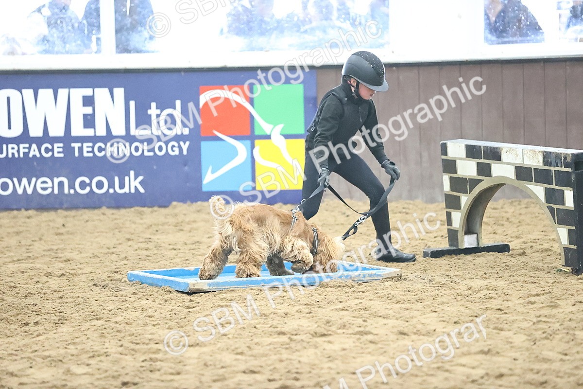 SBM_001417 - Class 3 - Horse & Hound 60cm