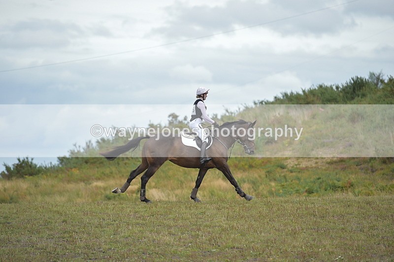 NGP_3991 - XC Time 12:36 to 12:57