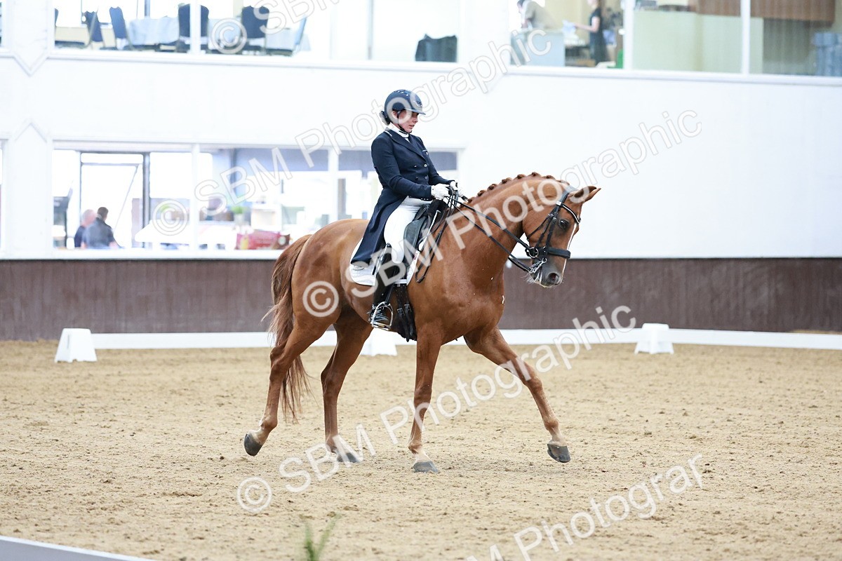 SBM_019925 - Class 12 - FEI PSG - 14.12-15.00