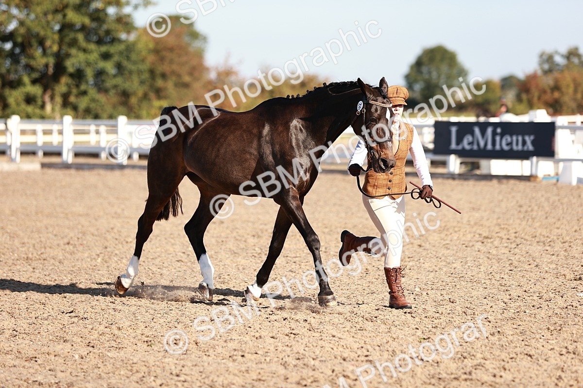 SBM_11408 - Class 402 - IH  Veteran pony