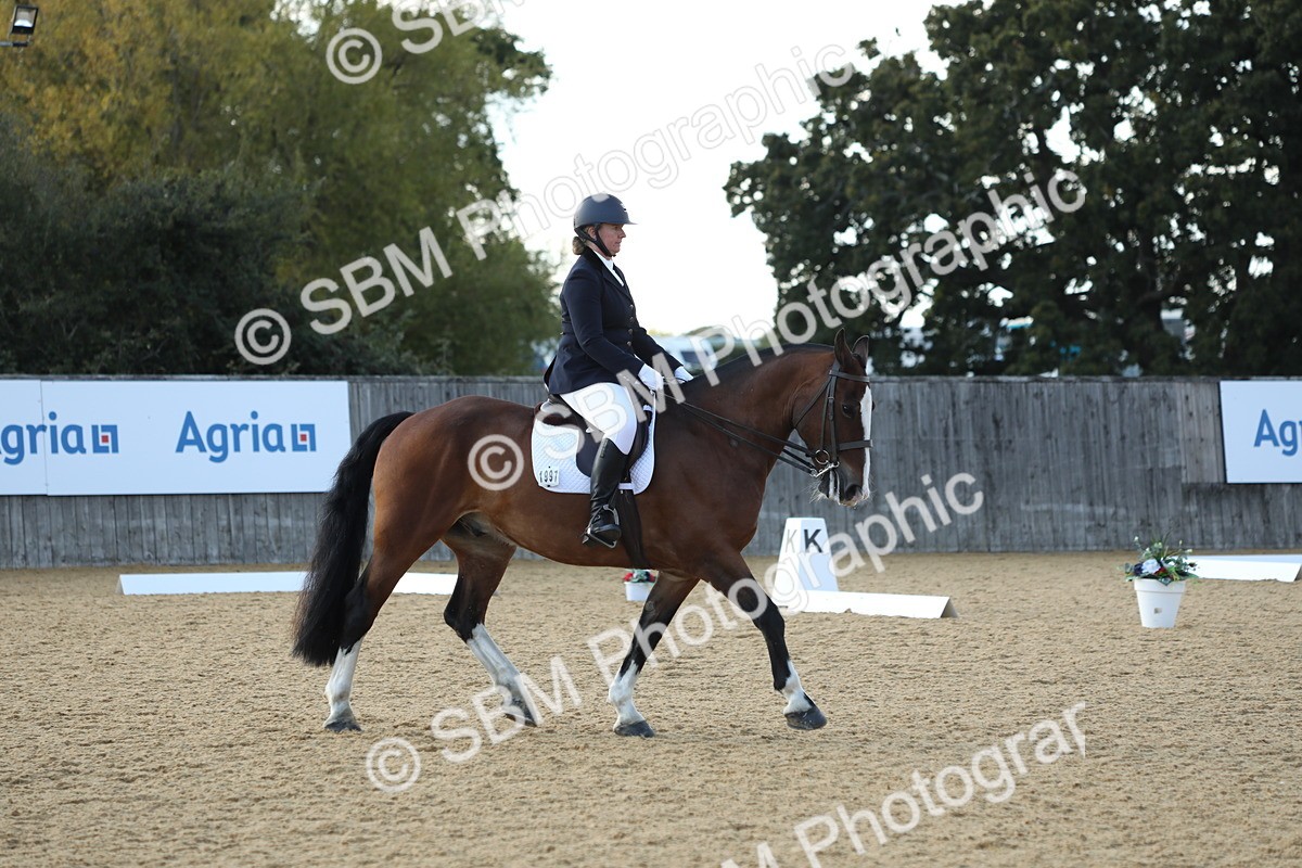 SBM_28663 - D20 - Grand Tour Championship - Elementary 44