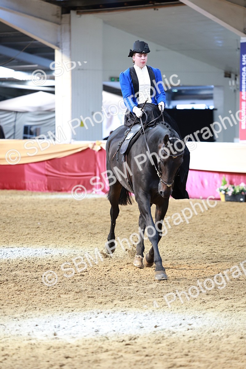 SBM_13593 - Class 105 - Ridden Costume - Side Saddle