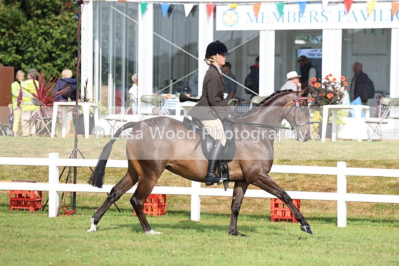 3E7A8276 - Class 2: Rising Star Large Hack/Riding Horse